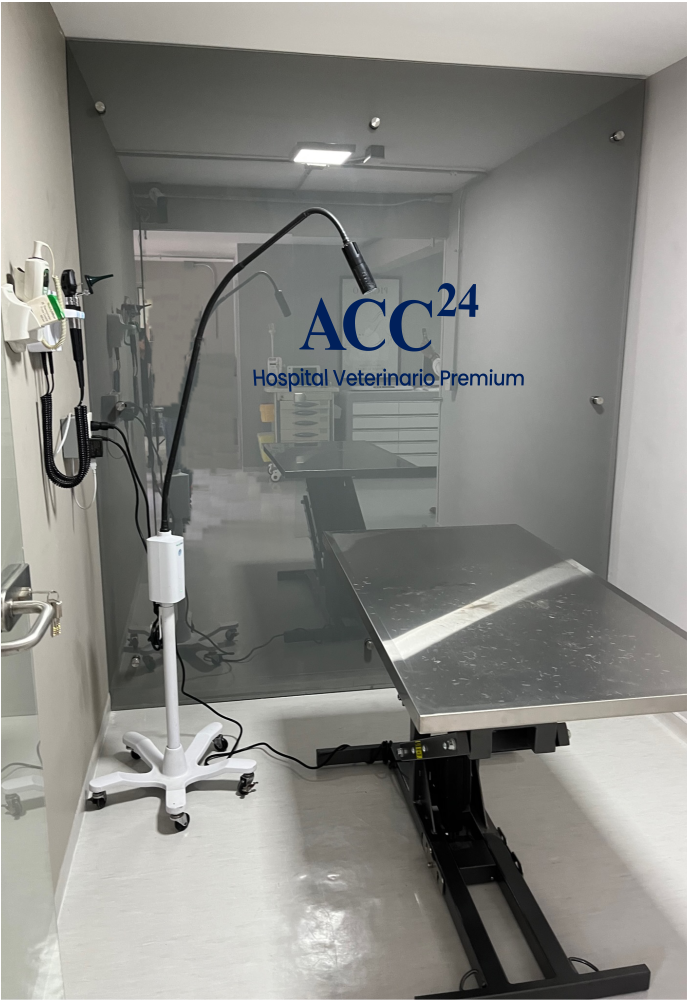 Moderno consultorio veterinario equipado para atención médica en ACC24
